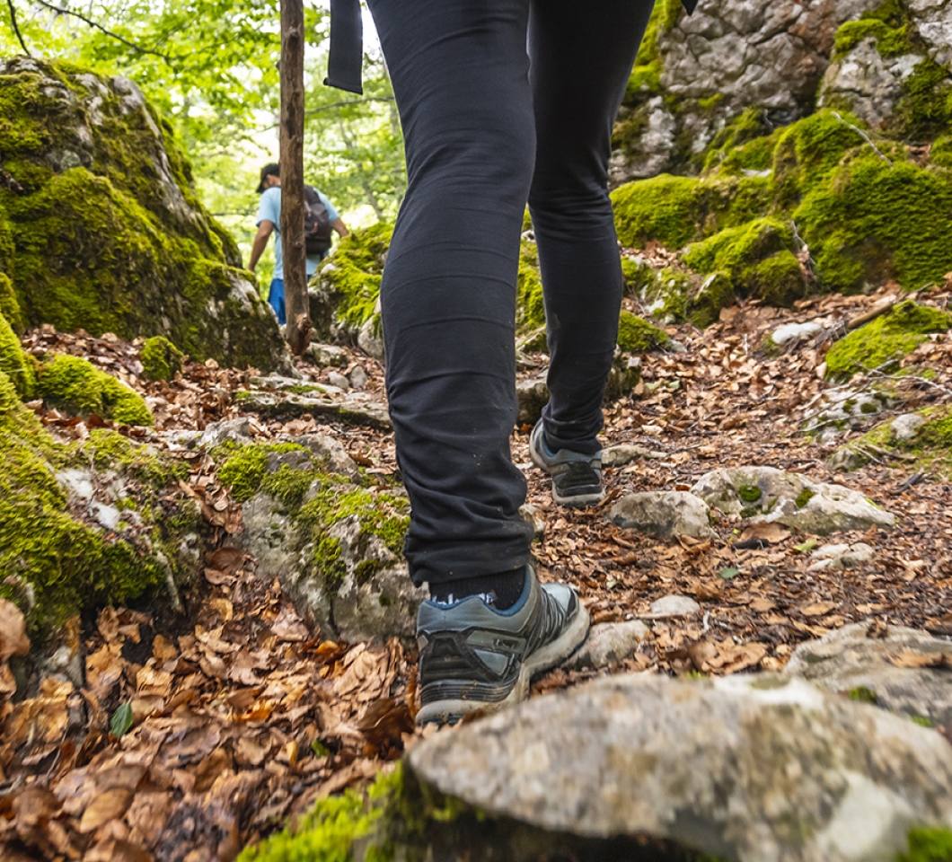Wandern im Wald